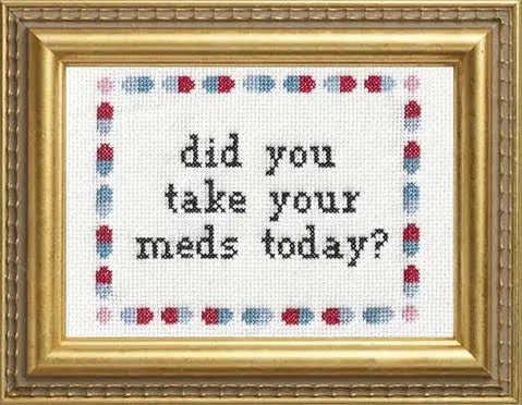 Craftermoon - Did You Take Your Meds Today Cross Stitch Kit